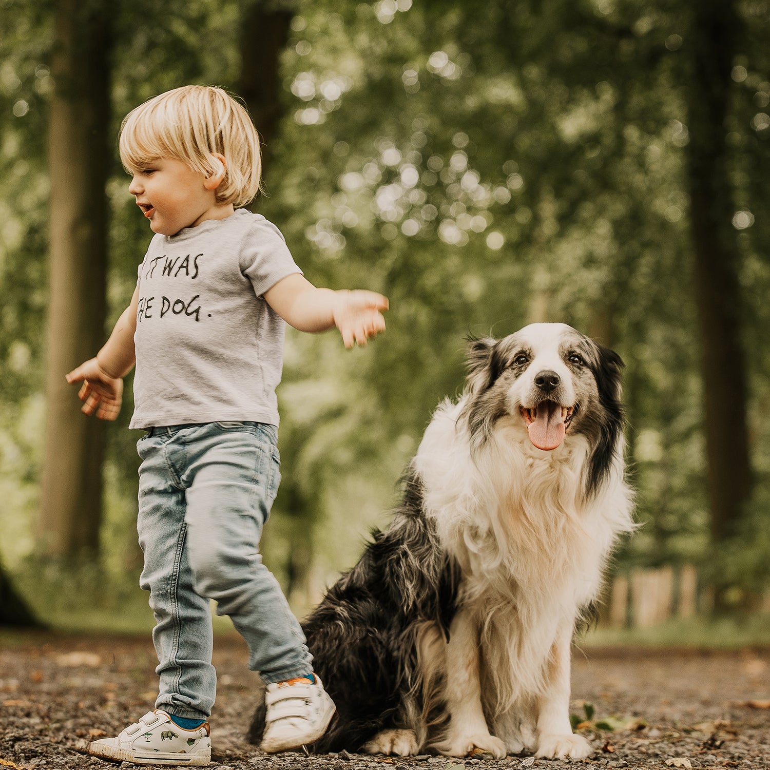 'It was the dog' baby shortsleeve shirt