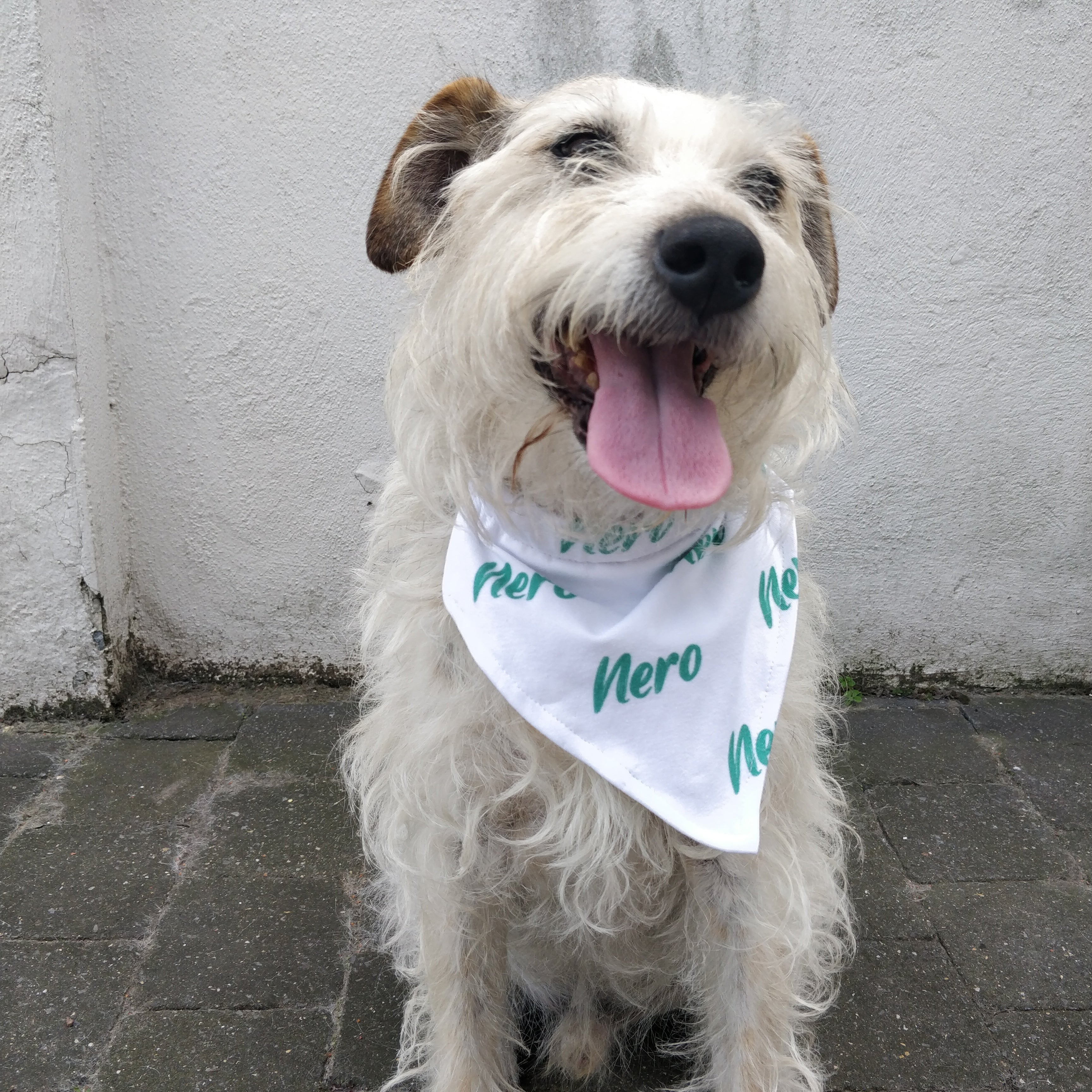 Personalised fabric in british racing green