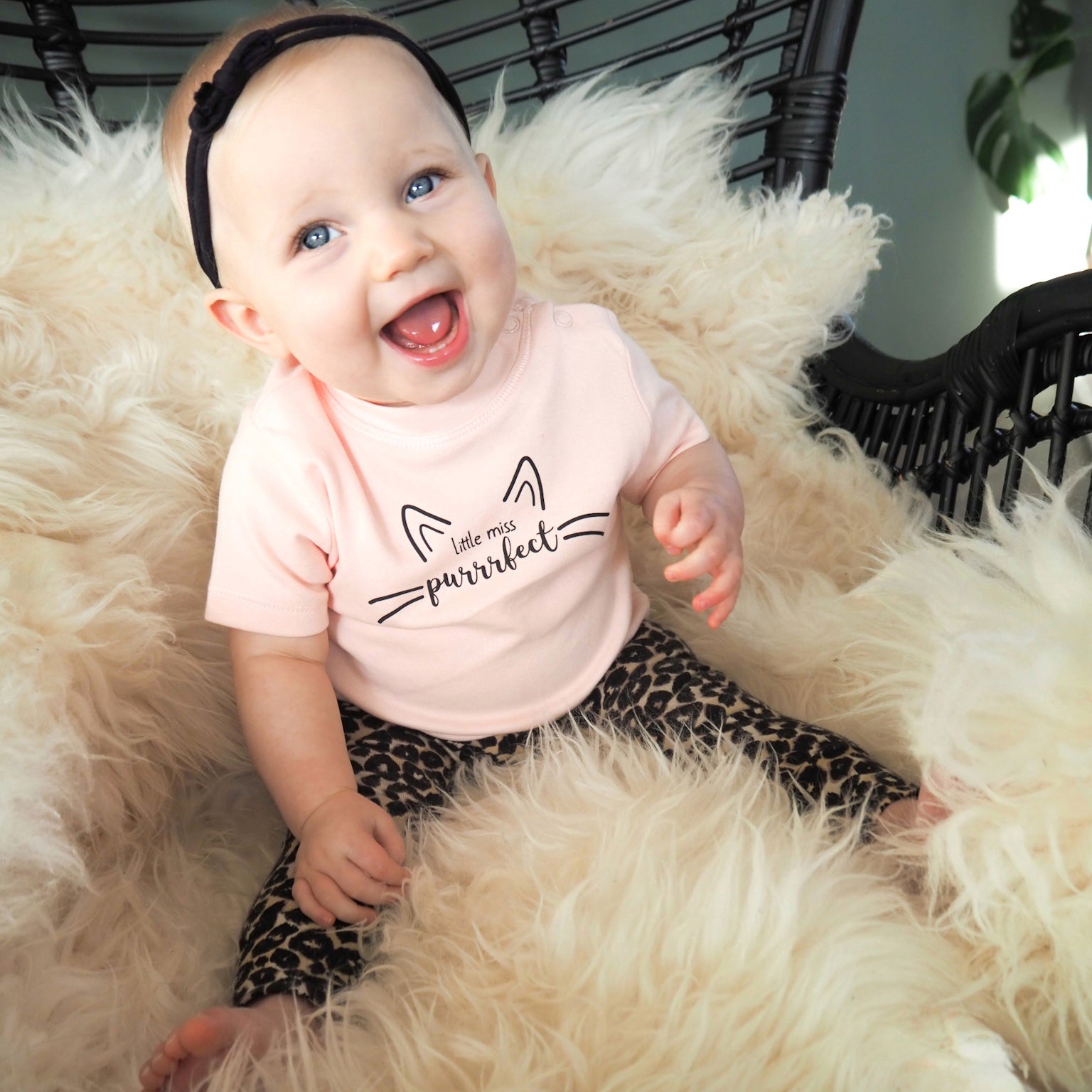 'Little miss purrrfect' baby shortsleeve shirt