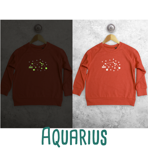 Star sign glow in the dark kids sweater