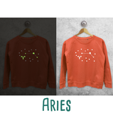 Star sign glow in the dark sweater