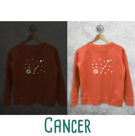 Star sign glow in the dark sweater