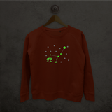 Star sign glow in the dark sweater