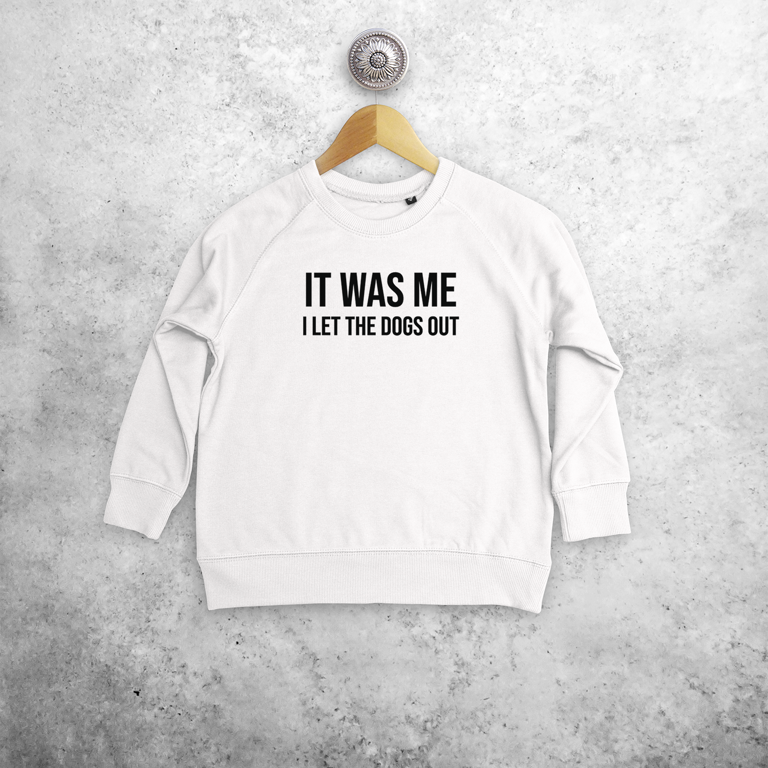 'It was me - I let the dogs out' kids sweater