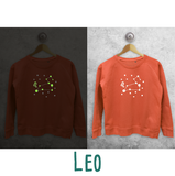 Star sign glow in the dark sweater