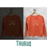 Star sign glow in the dark sweater